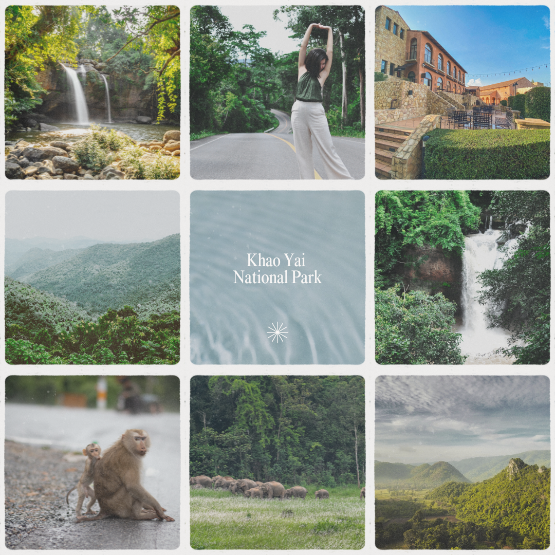 Khao Yai National Park Adventure: Private (Solo & Group) Custom Tour NATURE 🍃 & LOCAL HANGOUT